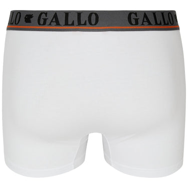 Slip Uomo Gallo - U Boxer Basico Co/Ea T.u. + Elx Loga - Bianco - Gianni Foti