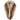 Stole Donna Twinset - Stola Soft Fabric - Marrone