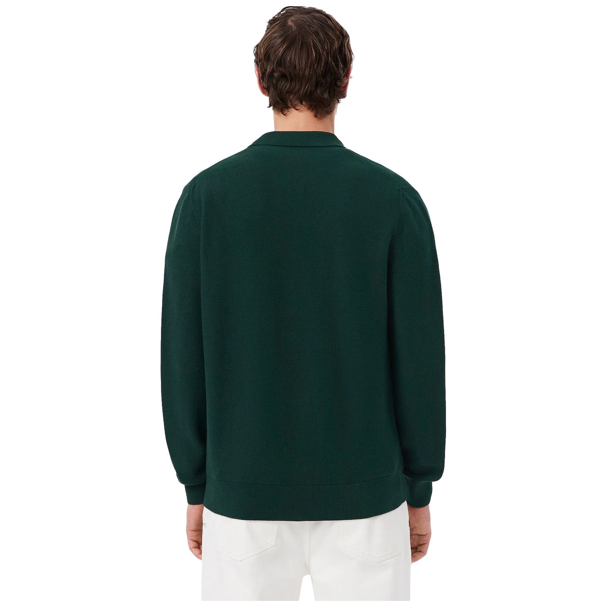 Maglioni Uomo Lacoste - Pullover AH9904 - Verde