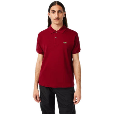 Polo Uomo Lacoste - Polo Basic - Bordeaux-Gianni Foti