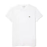 T-shirt Uomo Lacoste - T-Shirt - Bianco di Lacoste su Gianni Foti