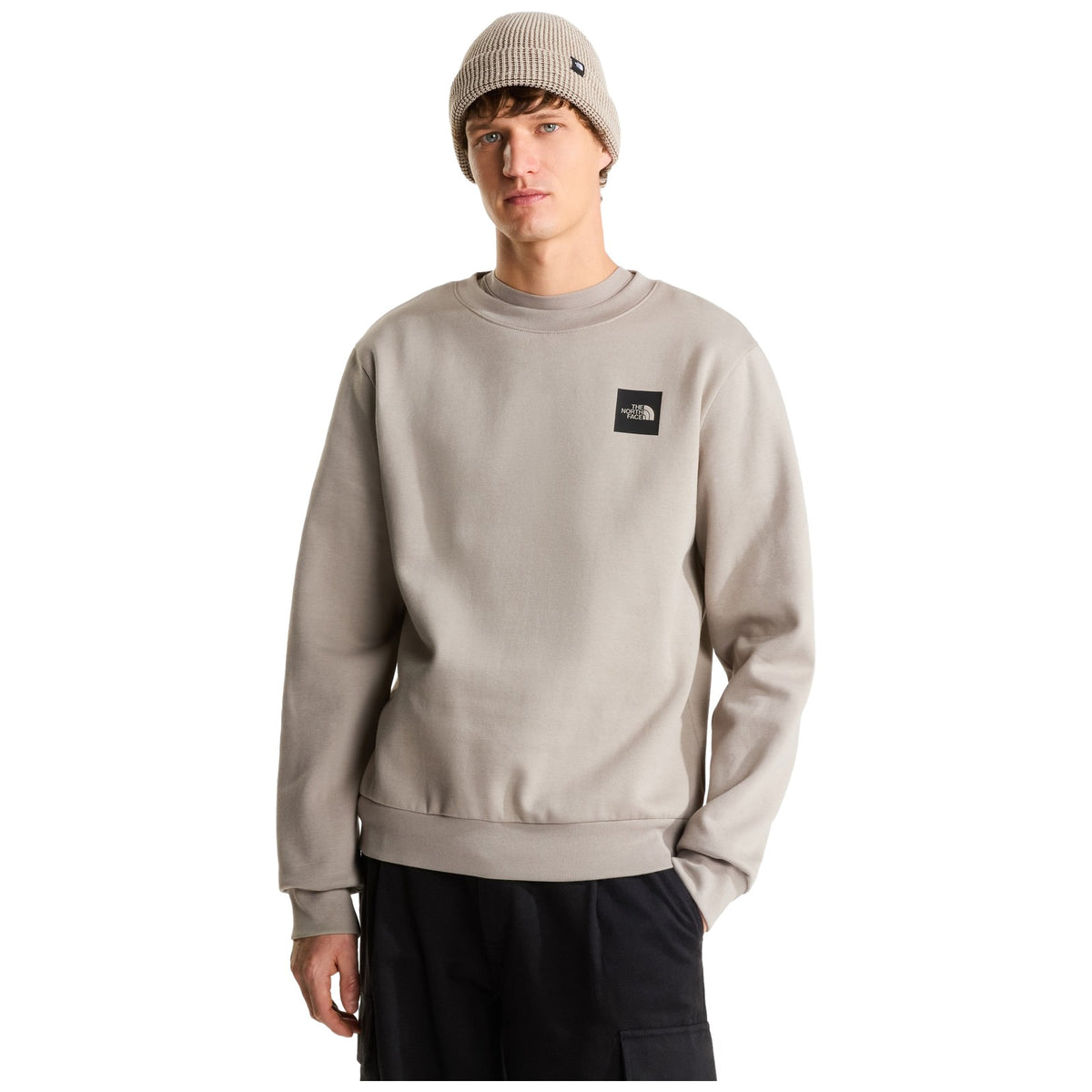 Felpe senza cappuccio Uomo The North Face - Box Half Dome Regular Crew - Grigio
