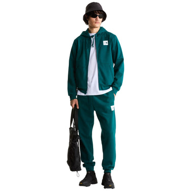 Felpe con cappuccio Uomo The North Face - Evo Box Half Dome Regular Full Zip Hoodie - Verde