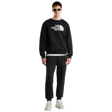 Pantaloni Uomo The North Face - Evo Box Half Dome Regular Tapered Jogger - Nero