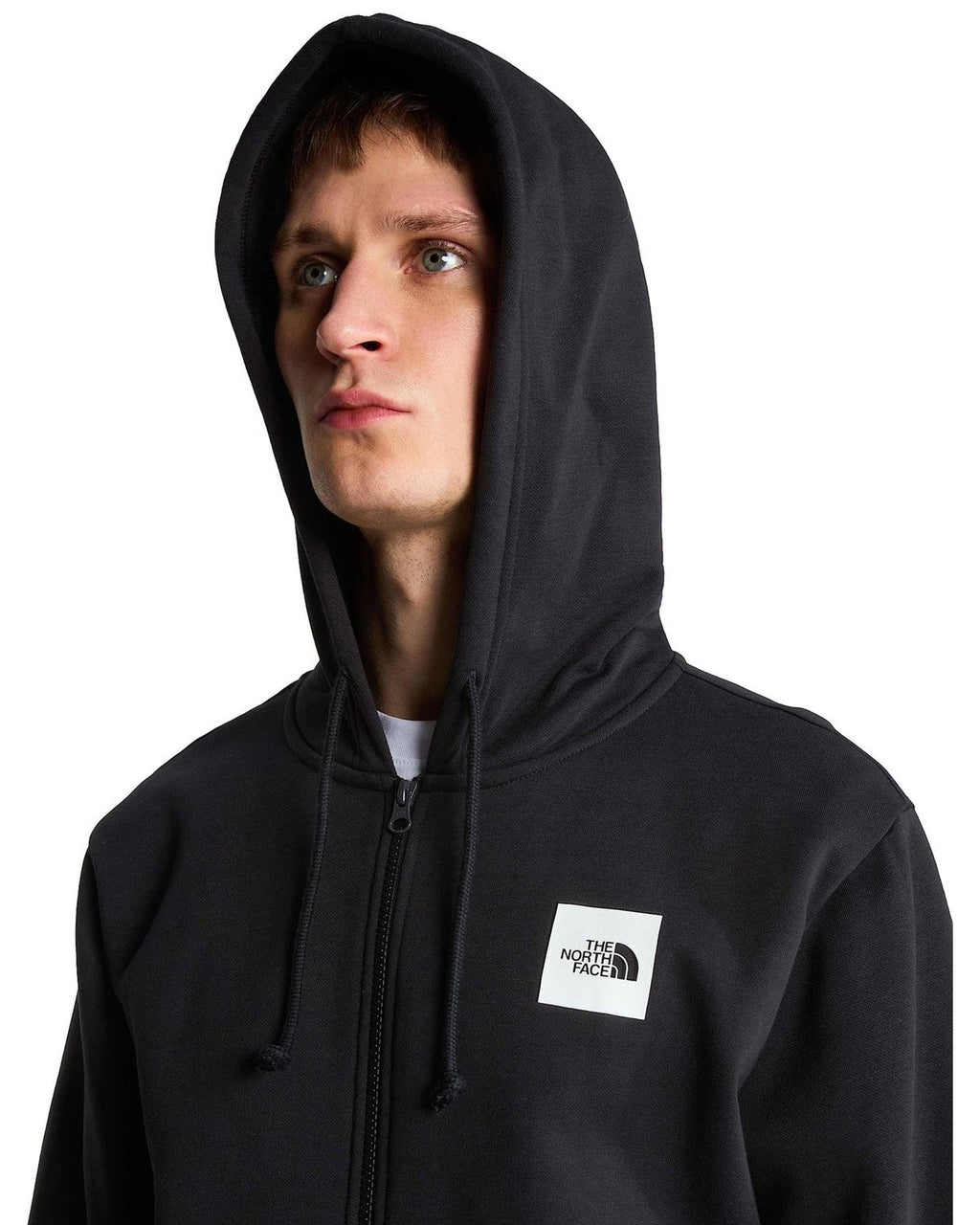 Felpe con cappuccio Uomo The North Face - Evo Box Half Dome Regular Full Zip Hoodie - Nero