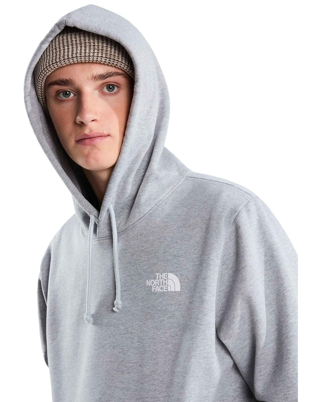 Felpe con cappuccio Uomo The North Face - Evolution Box NSE Regular Hoodie - Grigio