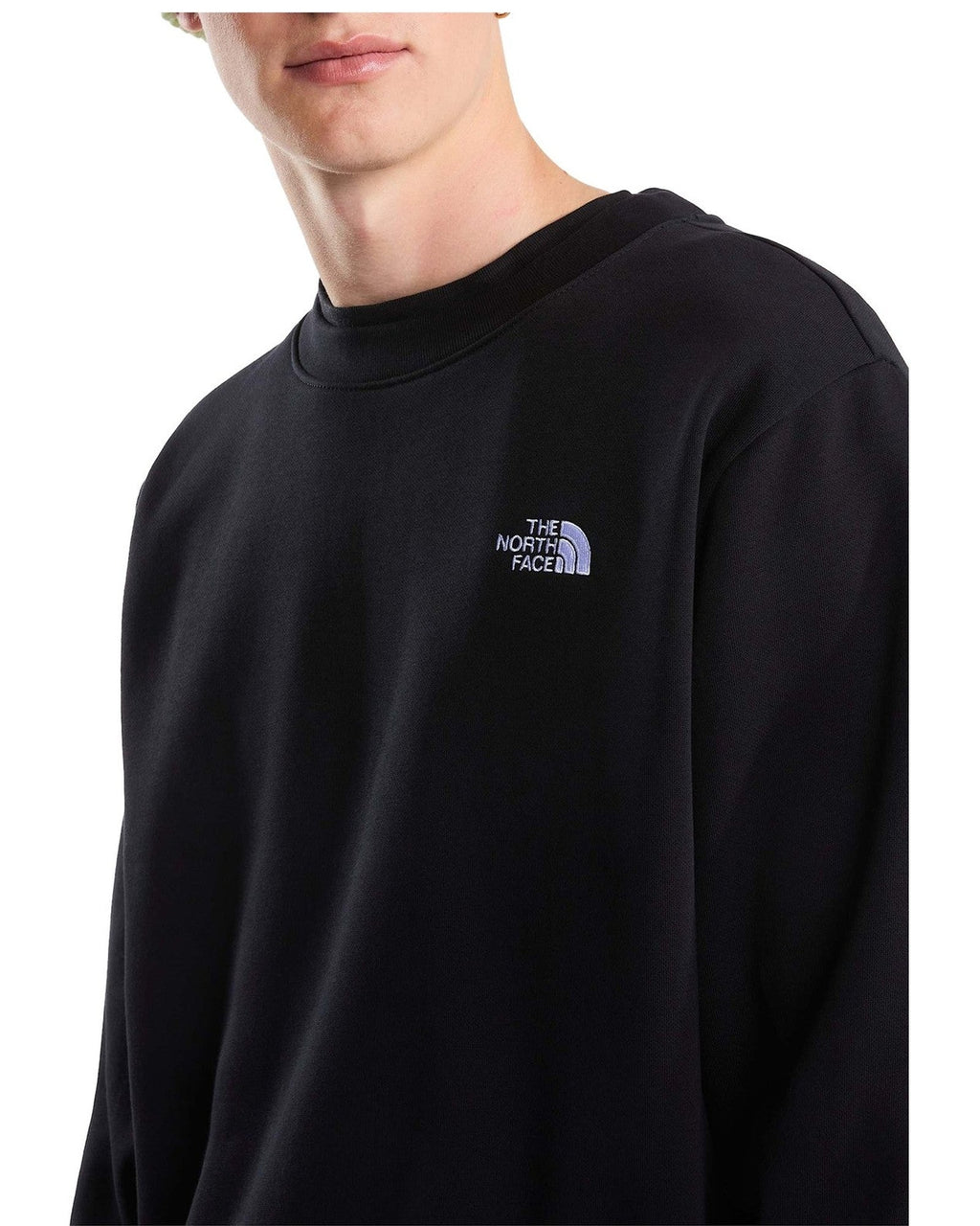 Felpe senza cappuccio Uomo The North Face - Evolution Simple Dome Regular Crew - Nero