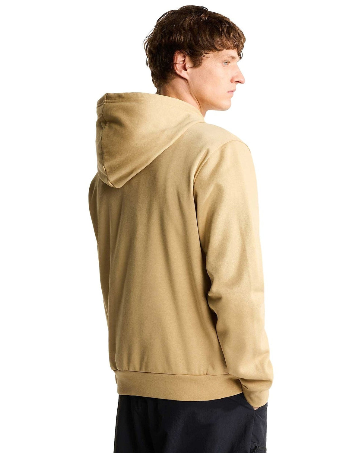 Felpe con cappuccio Uomo The North Face - Evolution Simple Dome Regular Hoodie - Beige
