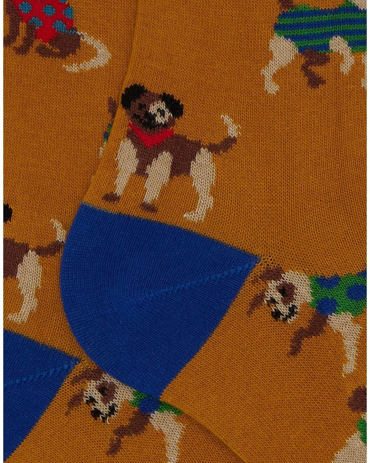 Calze Uomo Gallo - Uomo Lungo Co/Ea Fantasia Cani - Rosso