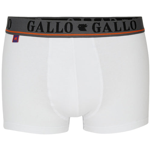 Slipy męskie Gallo - U Basic Boxer Co/Ea Tu + Elx Loga - Białe