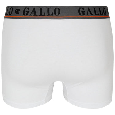 Slip Uomo Gallo - U Boxer Basico Co/Ea T.u. + Elx Loga - Bianco