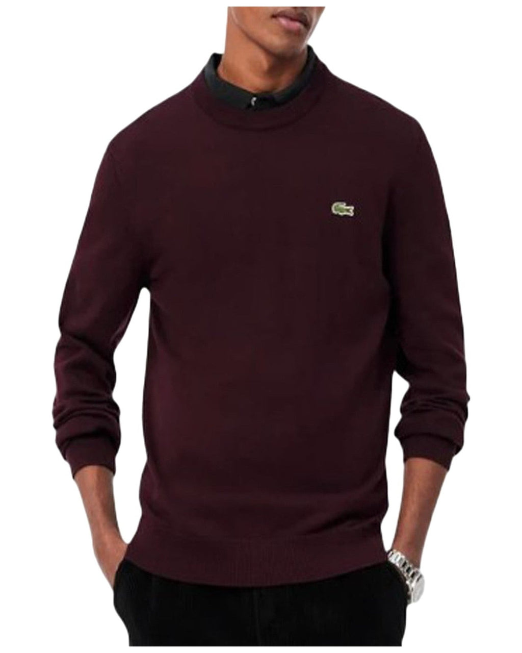 Maglioni Uomo Lacoste - Pullover AH3225 - Bordeaux