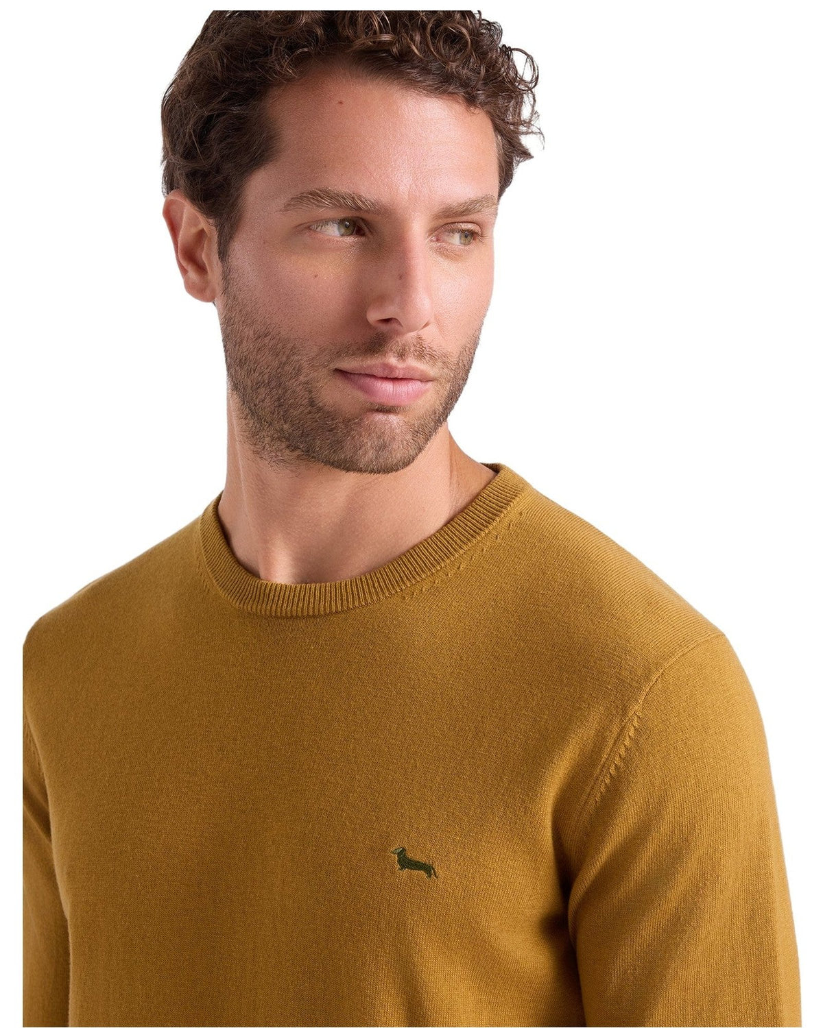 Maglioni Uomo Harmont & Blaine - Maglia Paricollo Cotone/Lana HRR012030788 - Marrone