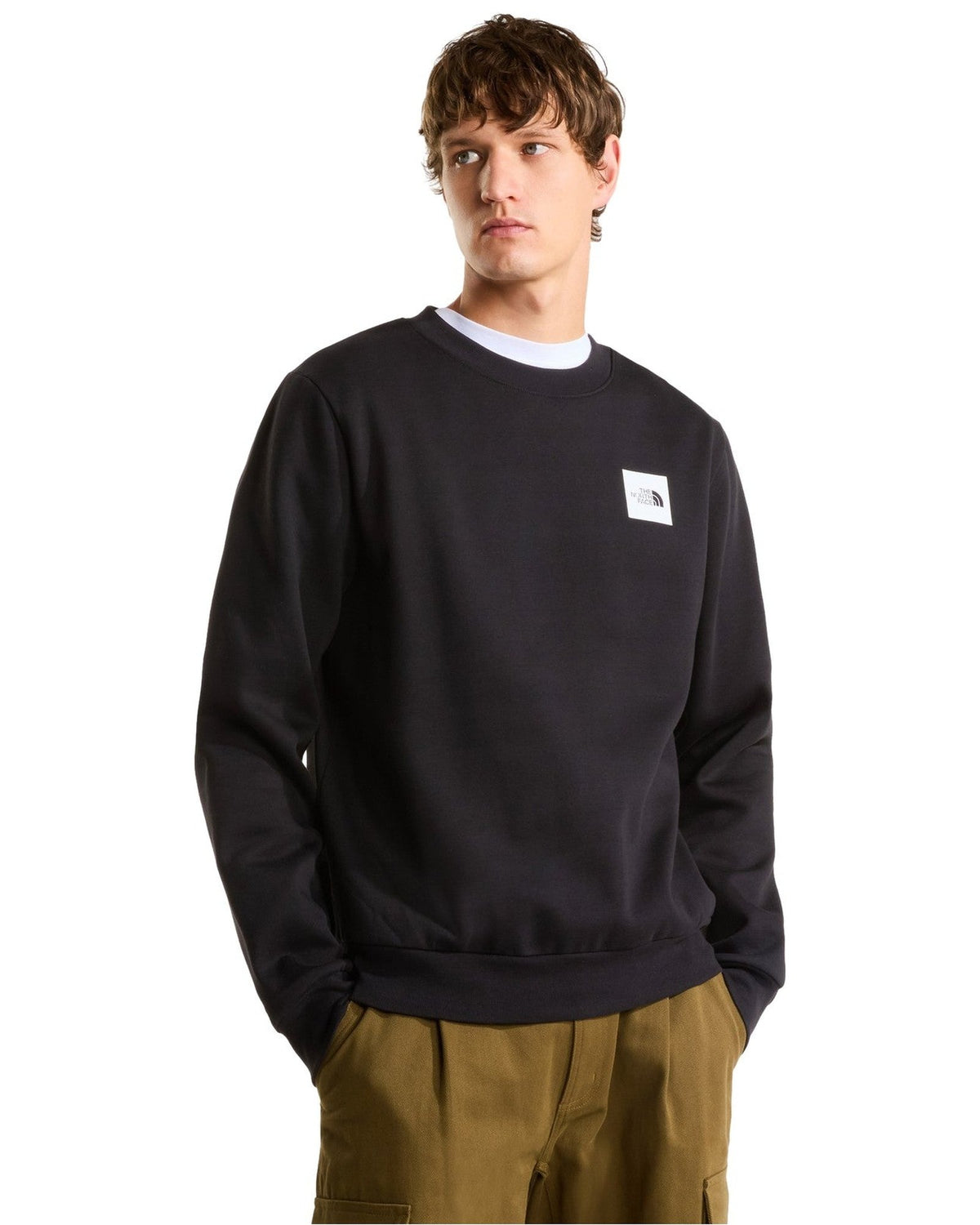Felpe senza cappuccio Uomo The North Face - Box Half Dome Regular Crew - Nero