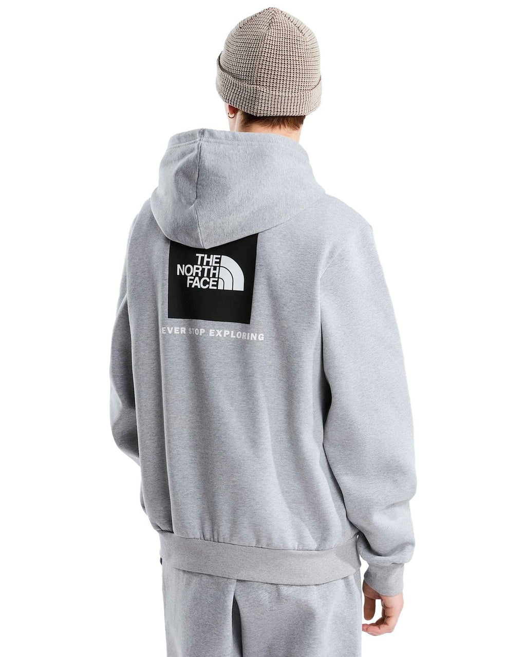 Felpe con cappuccio Uomo The North Face - Evolution Box NSE Regular Hoodie - Grigio