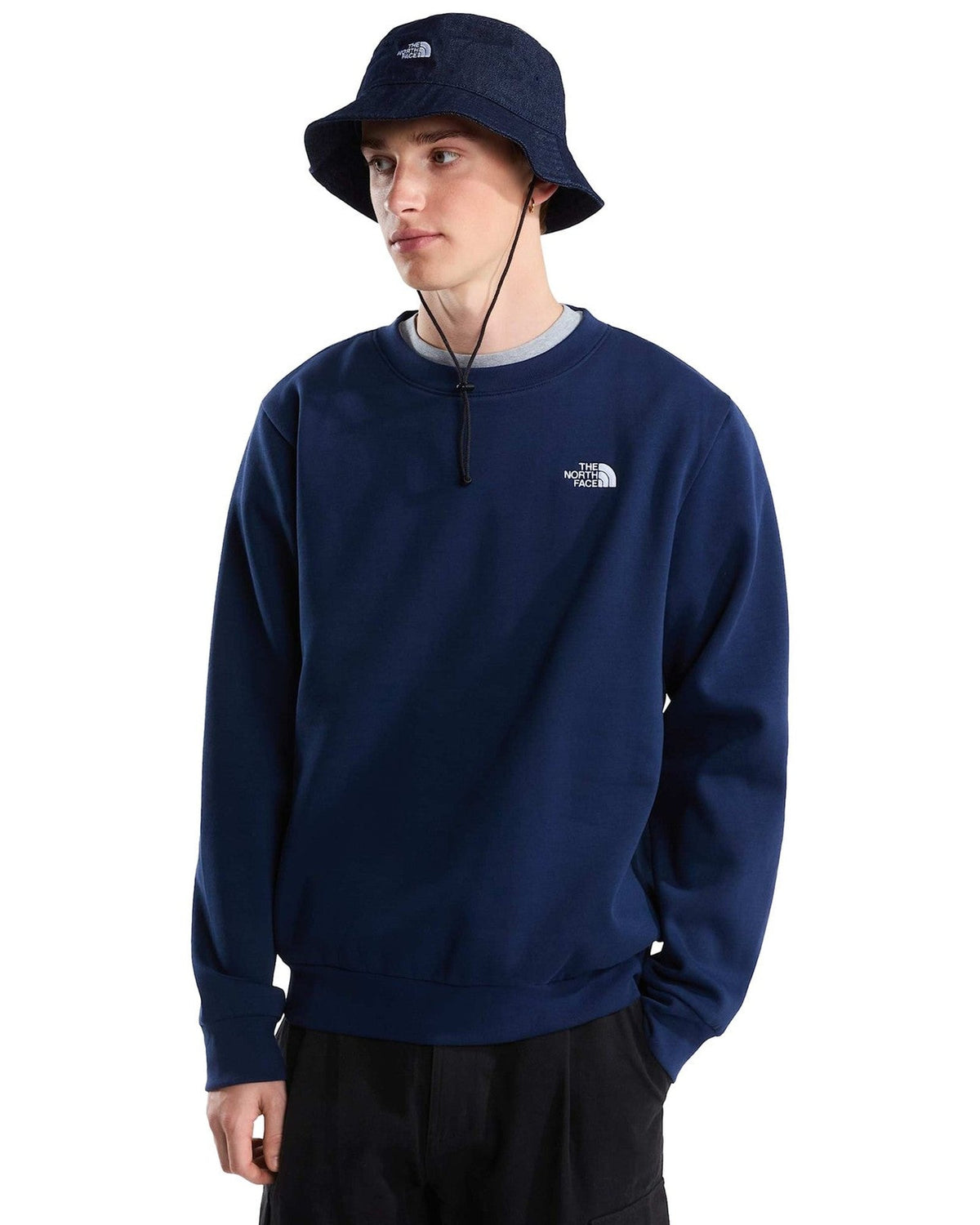 Felpe senza cappuccio Uomo The North Face - Evolution Simple Dome Regular Crew - Blu