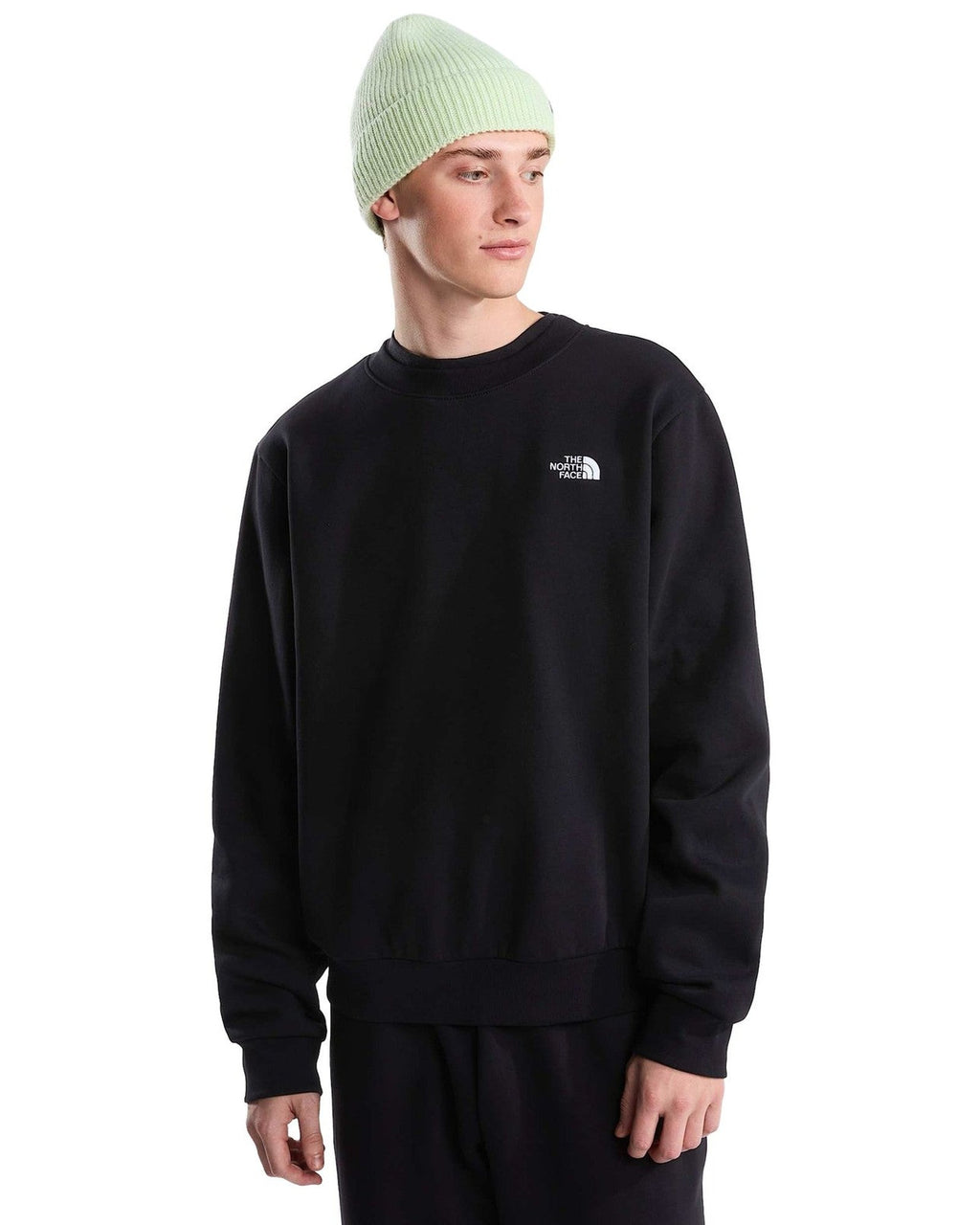 Felpe senza cappuccio Uomo The North Face - Evolution Simple Dome Regular Crew - Nero