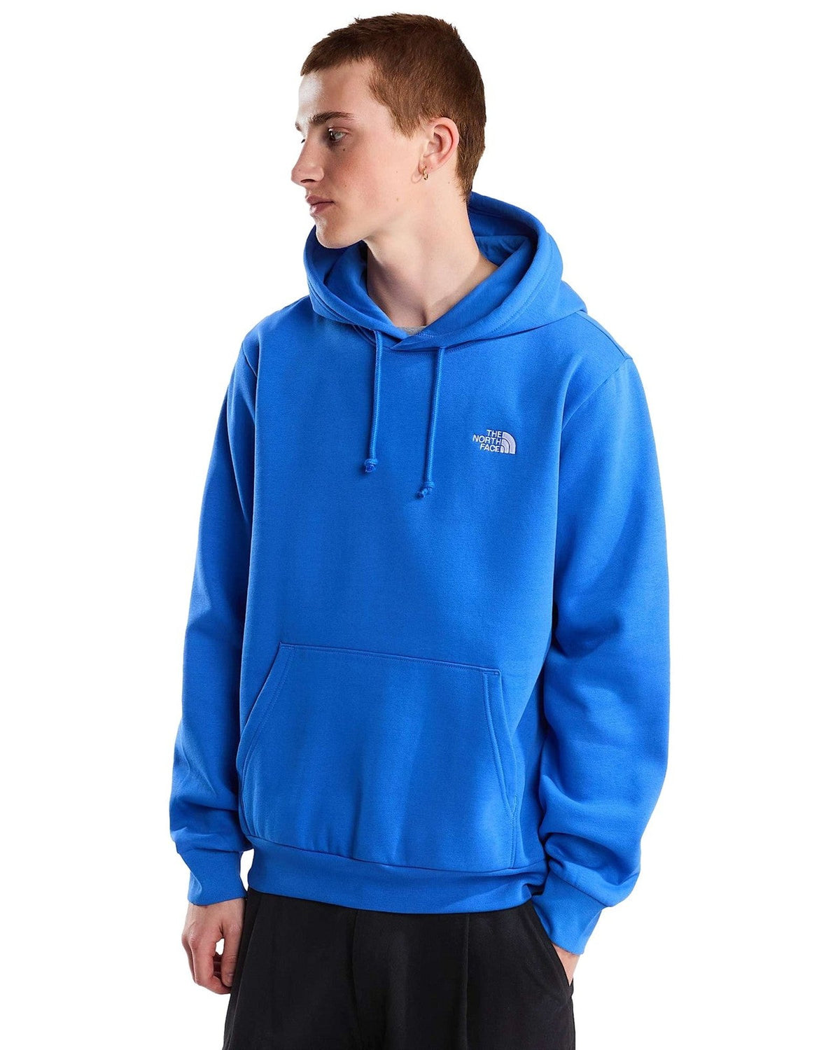 Felpe con cappuccio Uomo The North Face - Evolution Simple Dome Regular Hoodie - Azzurro