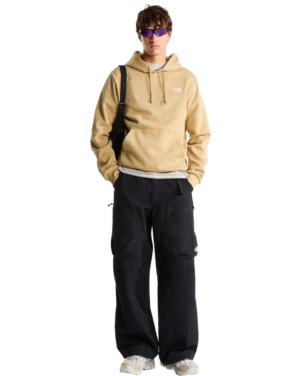 Felpe con cappuccio Uomo The North Face - Evolution Simple Dome Regular Hoodie - Beige